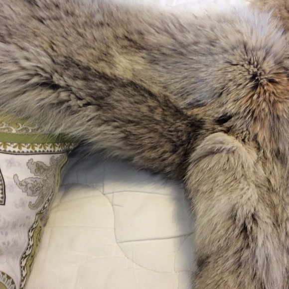 Coyote Fur - Full Length Coat - Picture 13 of 16
